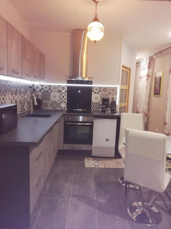 Rose Dor Apartment Plombieres-les-Dijon ภายนอก รูปภาพ